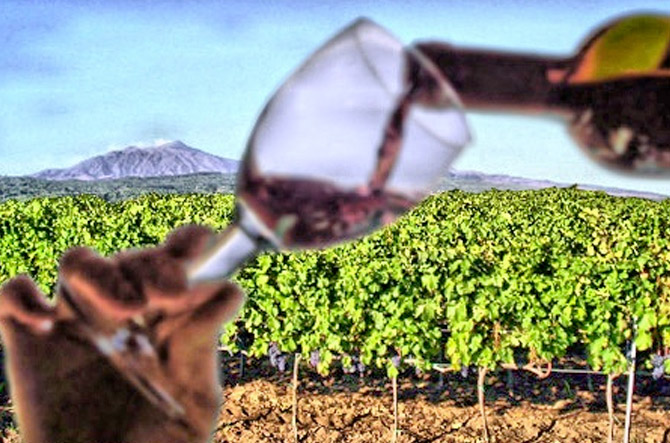 Escursione Etna Tastings